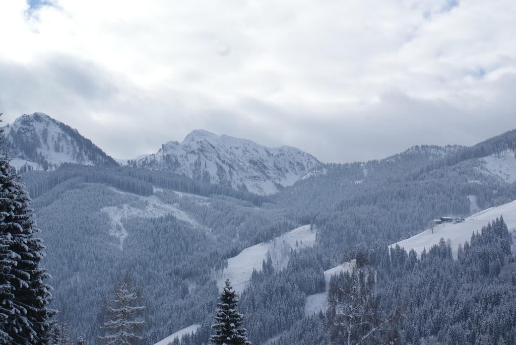 Pension Chalet Bergseegut Wagrain Dış mekan fotoğraf