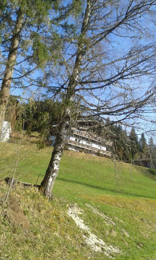 Pension Chalet Bergseegut Wagrain Dış mekan fotoğraf
