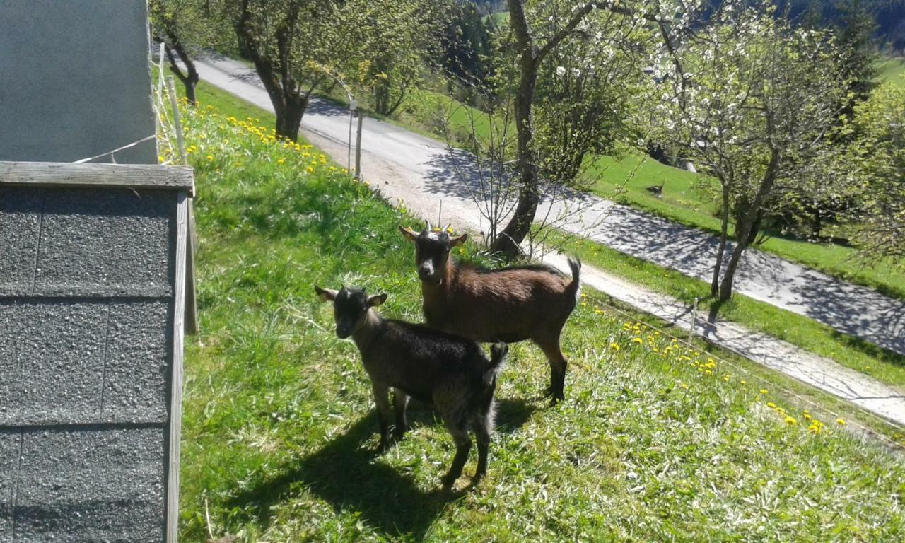 Pension Chalet Bergseegut Wagrain Dış mekan fotoğraf