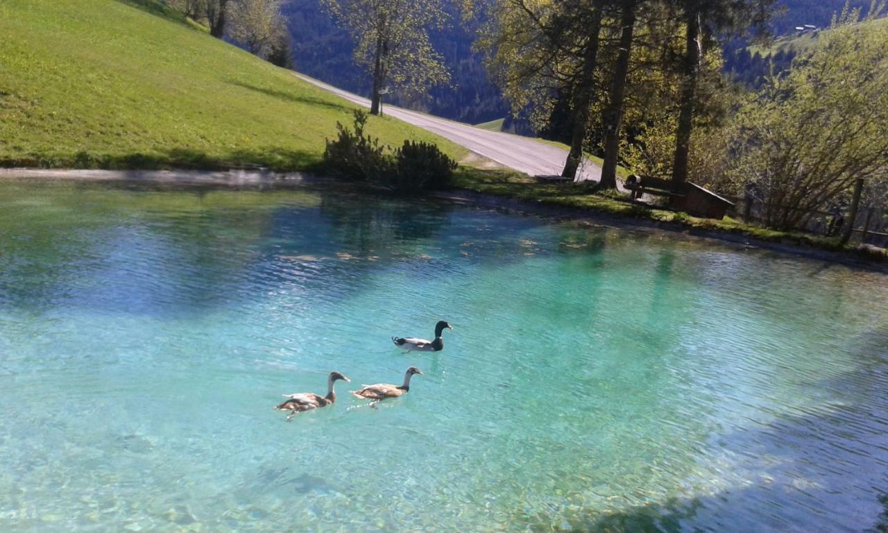 Pension Chalet Bergseegut Wagrain Dış mekan fotoğraf