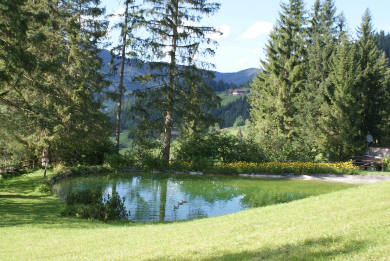 Pension Chalet Bergseegut Wagrain Dış mekan fotoğraf