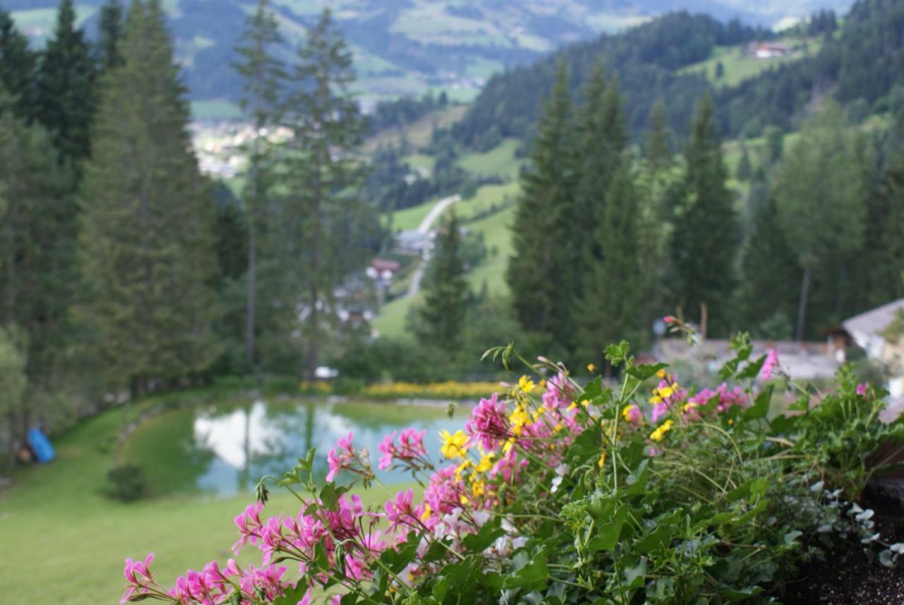 Pension Chalet Bergseegut Wagrain Dış mekan fotoğraf