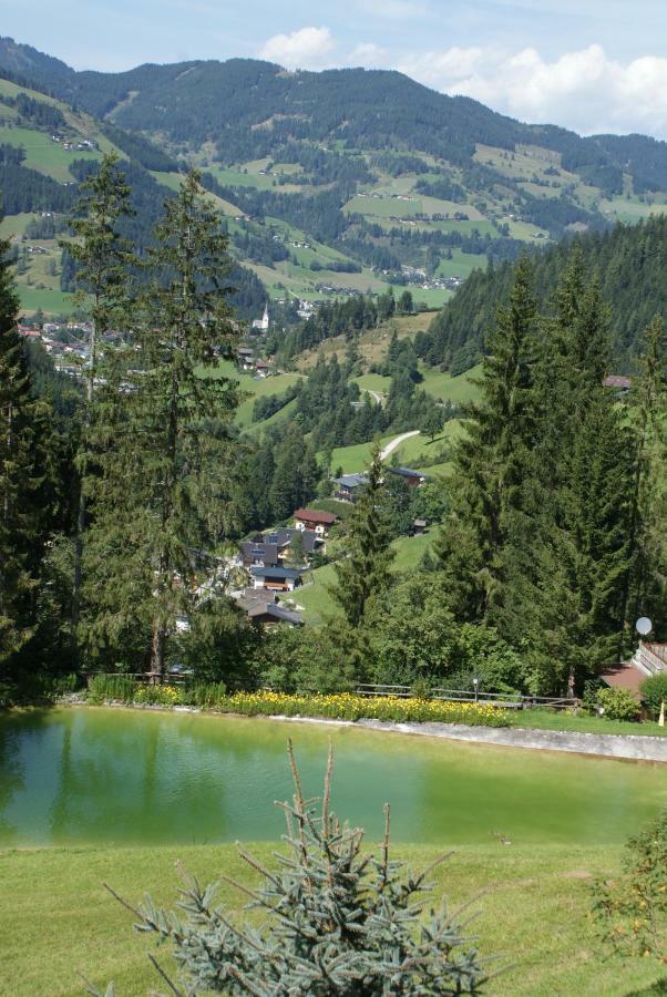 Pension Chalet Bergseegut Wagrain Dış mekan fotoğraf