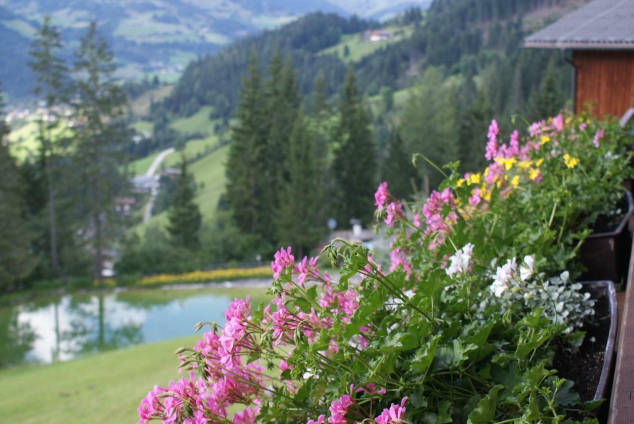 Pension Chalet Bergseegut Wagrain Dış mekan fotoğraf