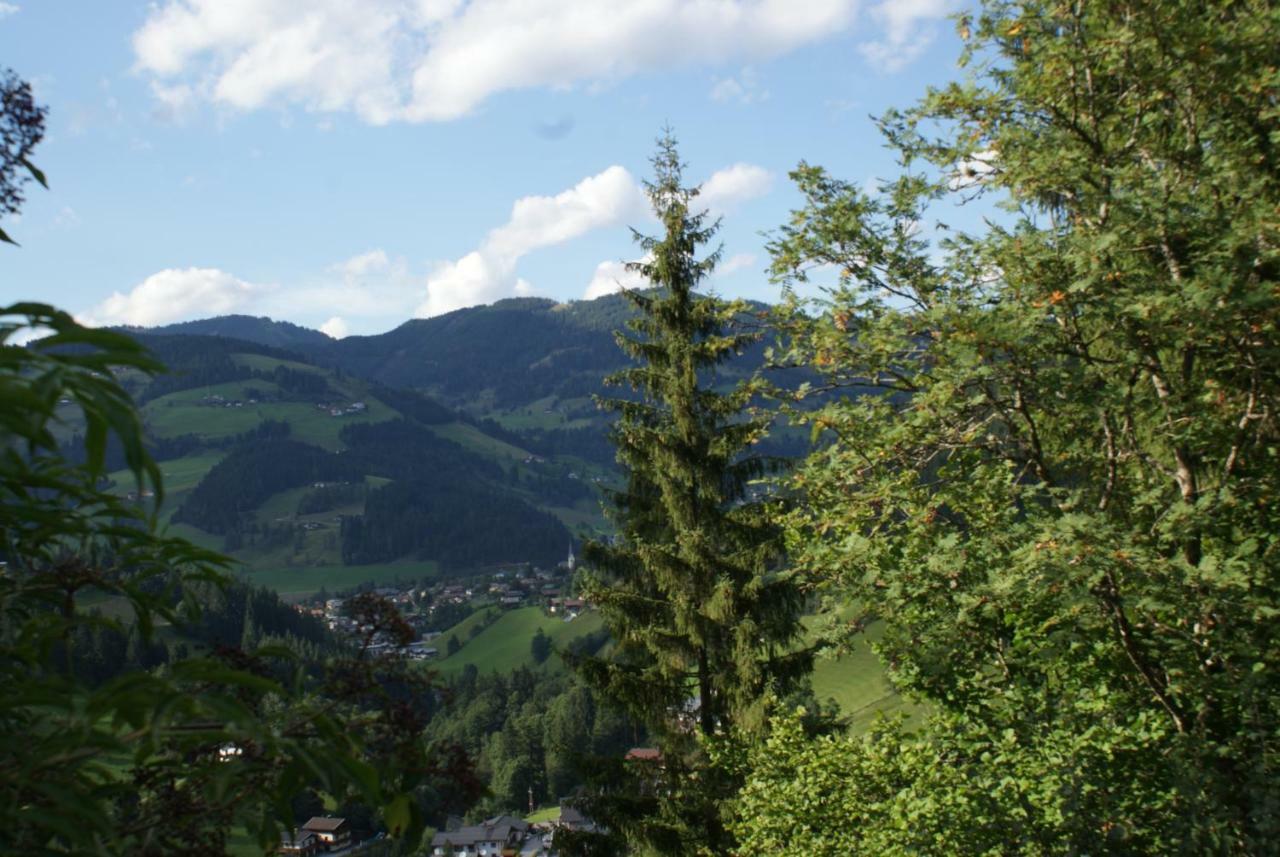 Pension Chalet Bergseegut Wagrain Dış mekan fotoğraf