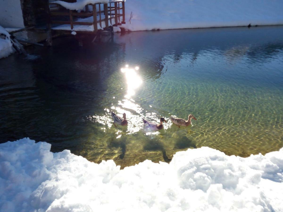 Pension Chalet Bergseegut Wagrain Dış mekan fotoğraf