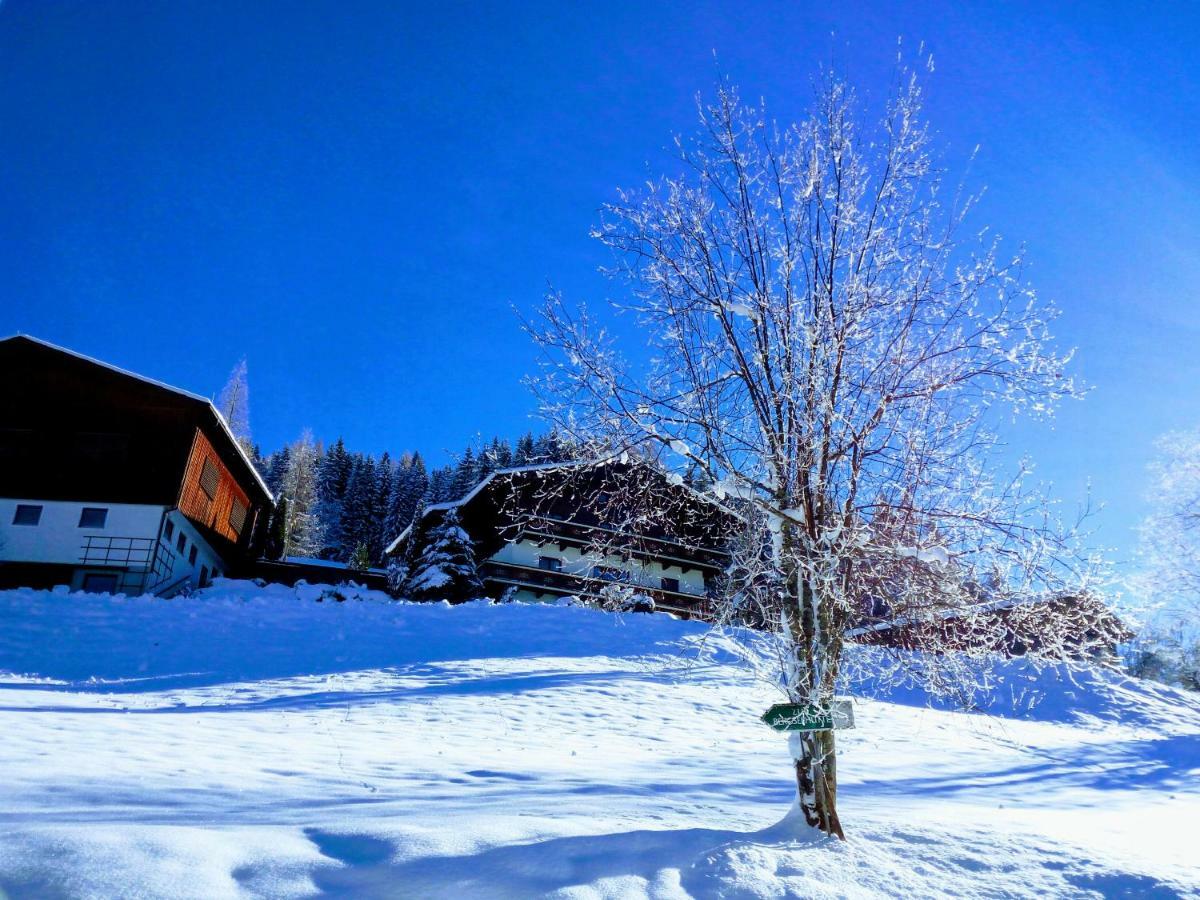 Pension Chalet Bergseegut Wagrain Dış mekan fotoğraf