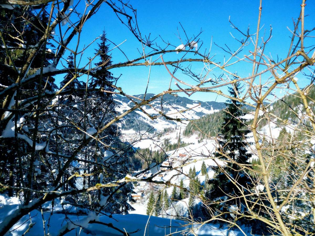 Pension Chalet Bergseegut Wagrain Dış mekan fotoğraf