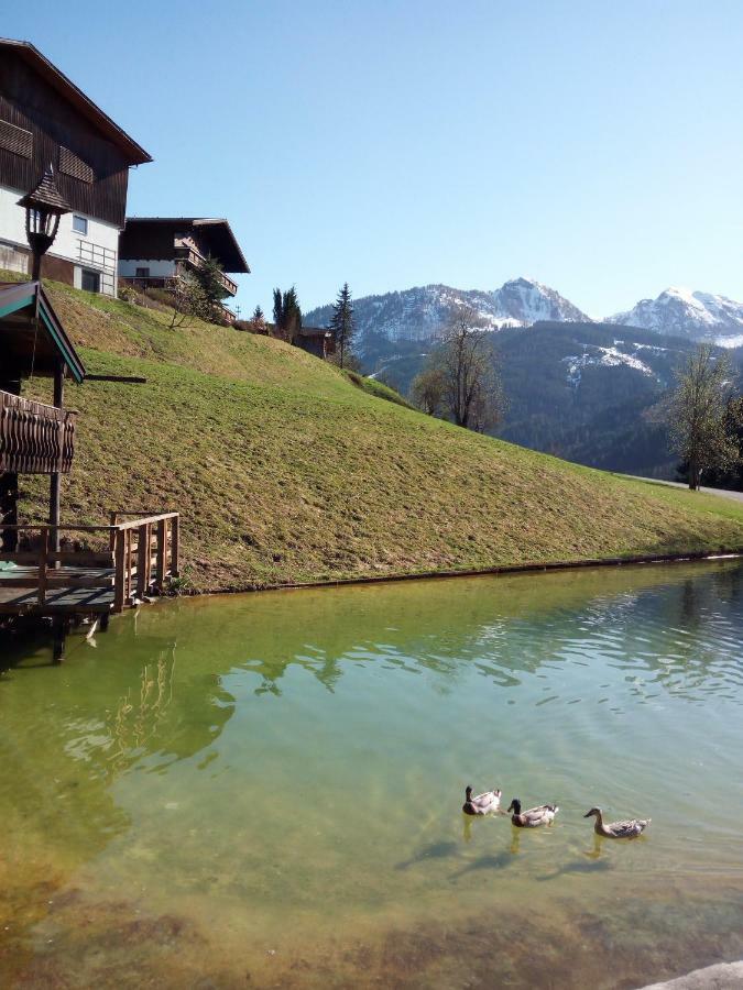 Pension Chalet Bergseegut Wagrain Dış mekan fotoğraf