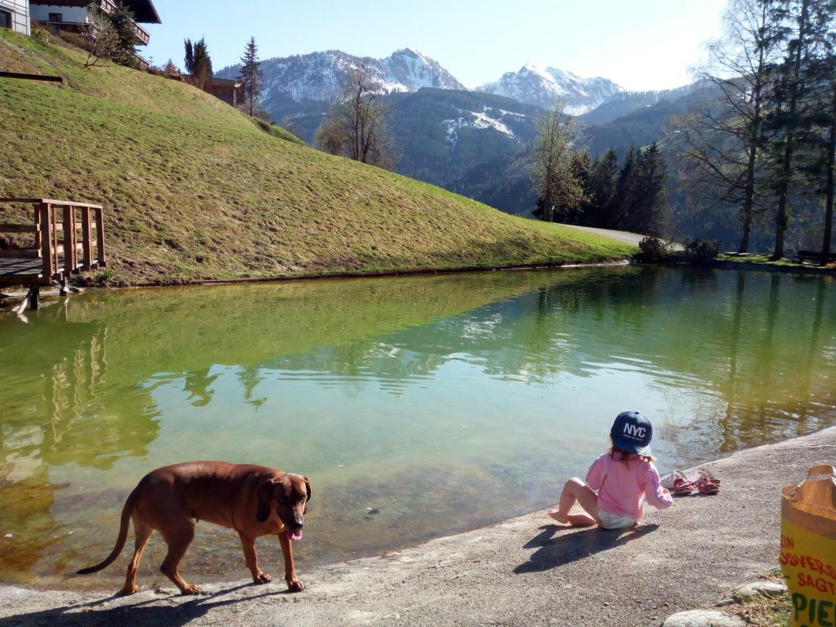 Pension Chalet Bergseegut Wagrain Dış mekan fotoğraf